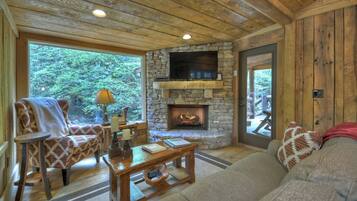 Televisión, chimenea y reproductor de DVD