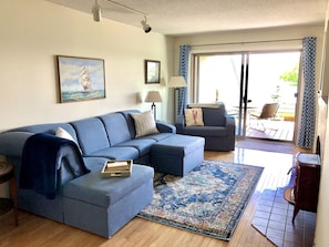 TV, fireplace, DVD player, books
