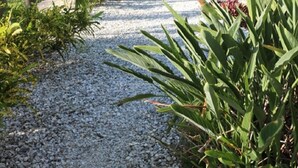 Un sendero que lleva a un pabellón blanco rodeado de palmeras y grava.