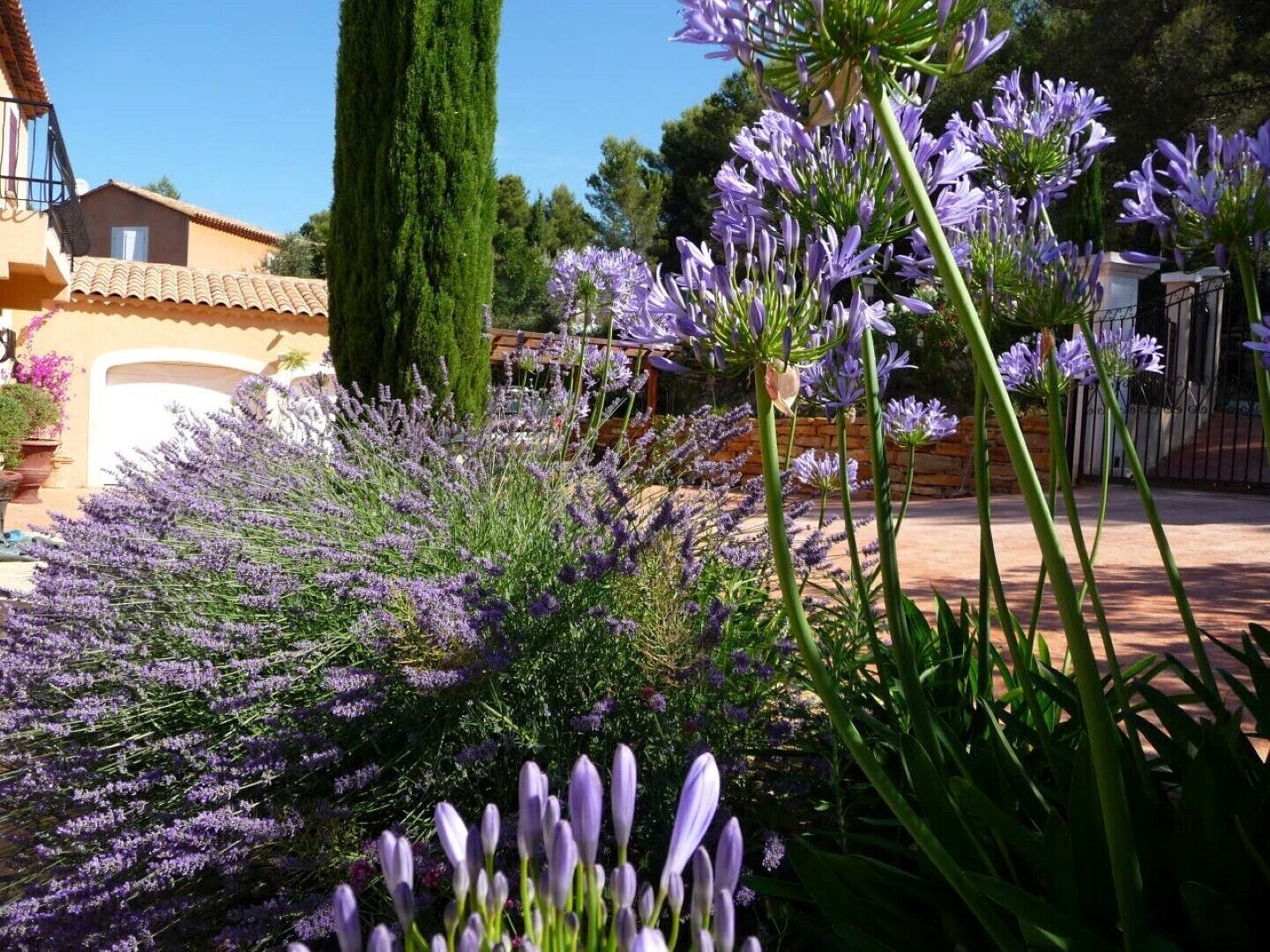 Enceinte de l’hébergement