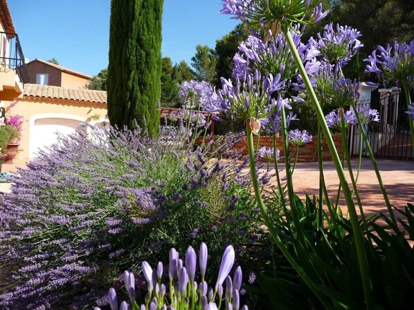 Enceinte de lâhĂ©bergement