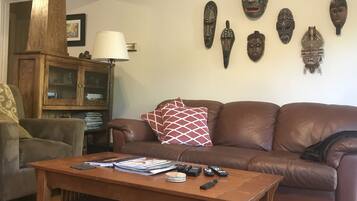 TV, fireplace, DVD player, books