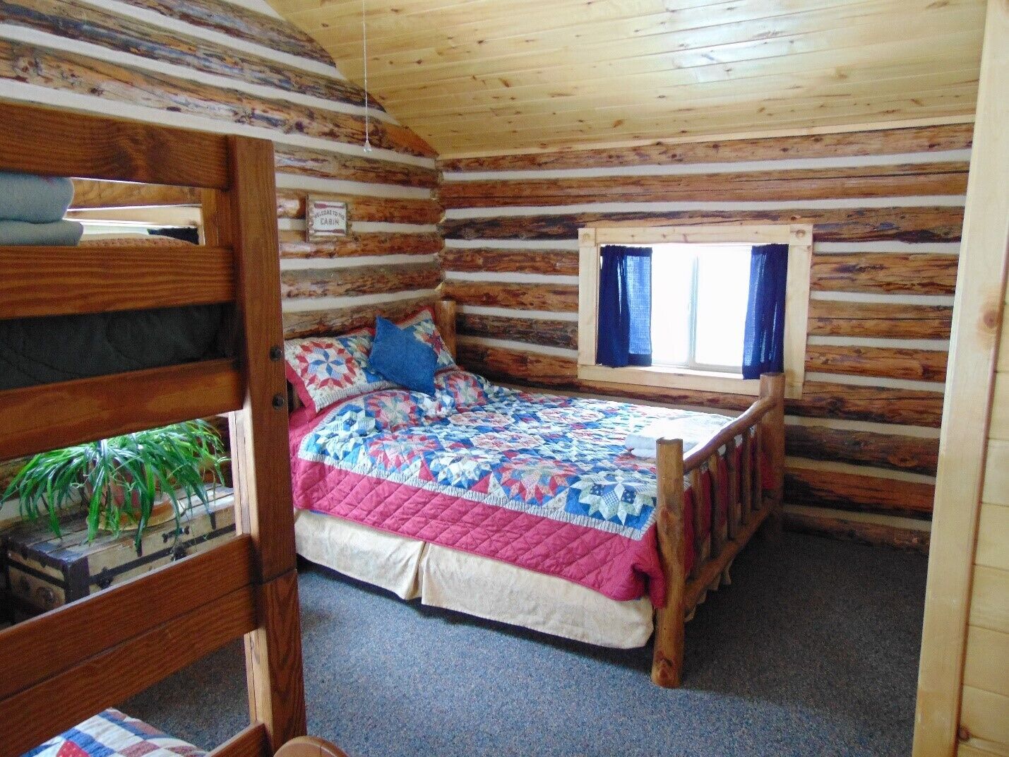 Top 10 Cabin Rentals In And Near Divide, Colorado Updated 2024 Trip101