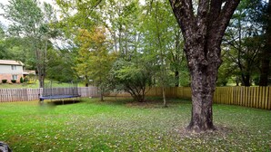 Een achtertuin met een trampoline, bomen en een houten omheining.