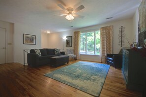 Smart TV, fireplace, books