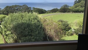 A view from a window overlooking a grassy field with trees and a body of water in the distance. - Looking out over the ocean with uninterrupted views to Mayor Island and beyond! (Onemana)