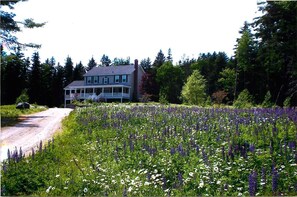 Exterior - Blue Heaven at Blue Hill - Classic Maine Living near Acadia! (Blue Hill Falls)
