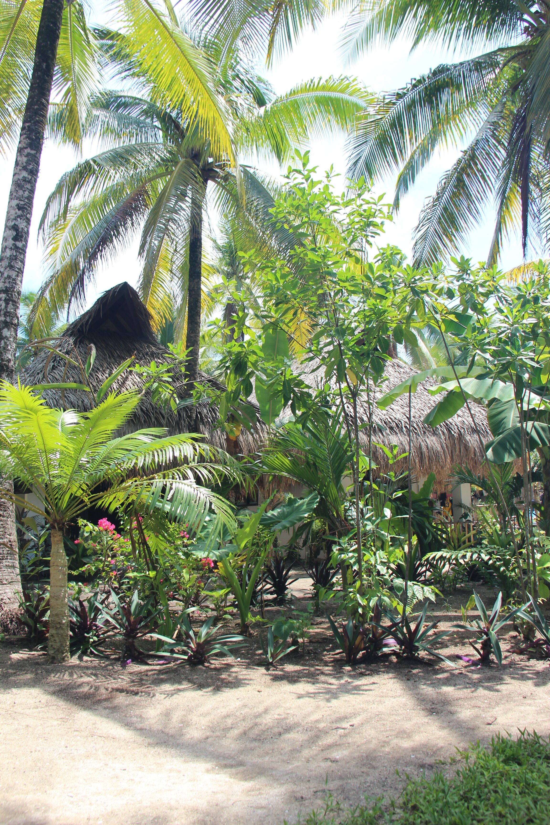 Área da propriedade