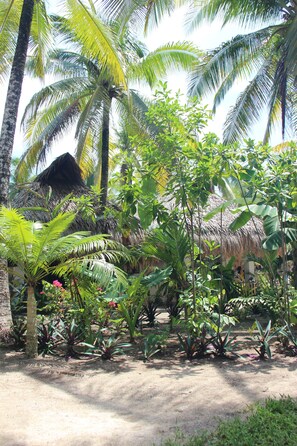 Property grounds - HighTide Eco Villas & Bar Pacifico (San Isidro)