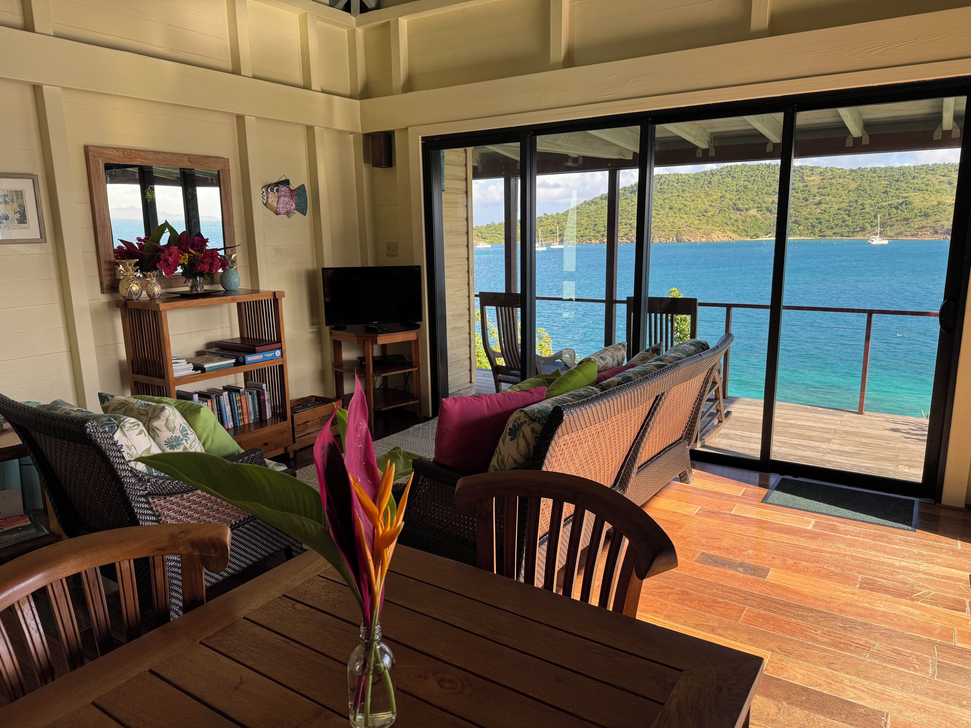 Een smart-tv, een dvd-speler, boeken en een filmbibliotheek