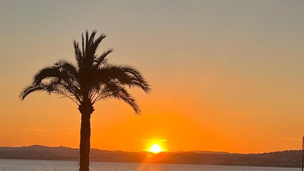 A beach with a palm tree and the sun setting over the water. - NICE ANTIBES SAINT LT CANNES RIVIERA BEACH POOL TENNIS SOLARIUM PARKING CAMERAS (Cagnes-Sur-Mer)