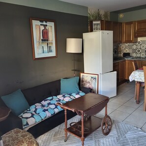 Living area - NICE ANTIBES SAINT LT CANNES RIVIERA BEACH POOL TENNIS SOLARIUM PARKING CAMERAS (Cagnes-Sur-Mer)