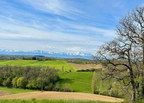 Un paysage rural avec de douces collines verdoyantes, un arbre sans feuilles et, au loin, des montagnes enneigées sous un ciel dégagé.