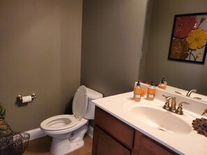 Ducha y bañera combinadas, secador de pelo, toallas y champú