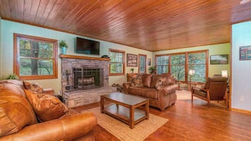 TV connectée, cheminée, jeux vidéo, lecteur de DVD