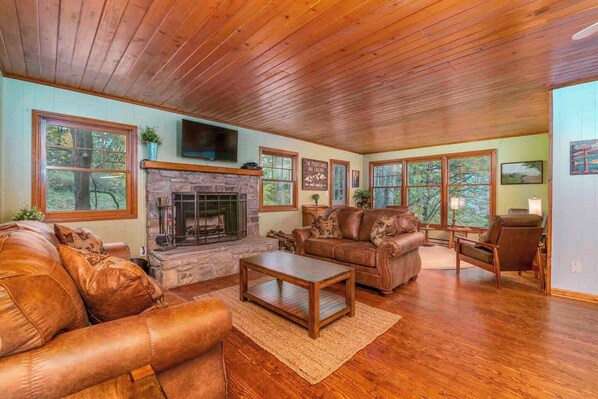 Smart TV, fireplace, video games, DVD player