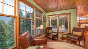 TV connectée, cheminée, jeux vidéo, lecteur de DVD