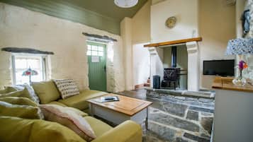 Smart TV y chimenea