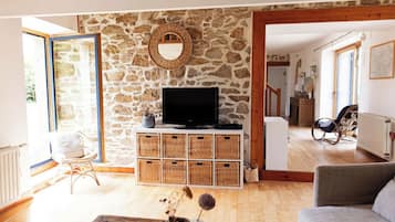 TV connectée, cheminée, lecteur de DVD, livres