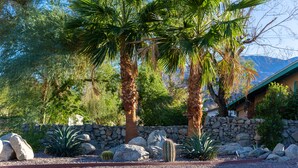 A landscaped garden with palm trees, cacti, and a stone wall. - Travel Back in Time to this Gorgeous 1950's Remodel (La Quinta,)
