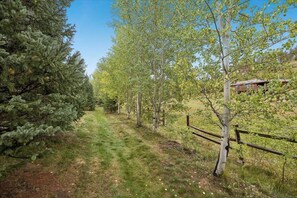 Un sendero bordeado por árboles que conduce a una cabaña de madera.