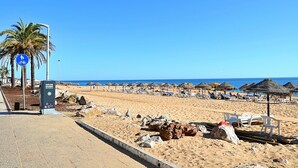 Una playa con palmeras, sombrillas y tumbonas.