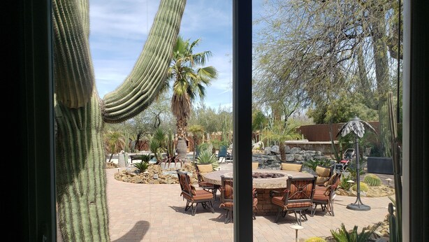 Un espace extérieur aménagé en terrasse, avec une table ronde et des chaises, entouré de différents types de cactus et de plantes du désert.