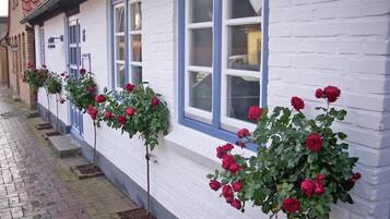 Detalle del exterior