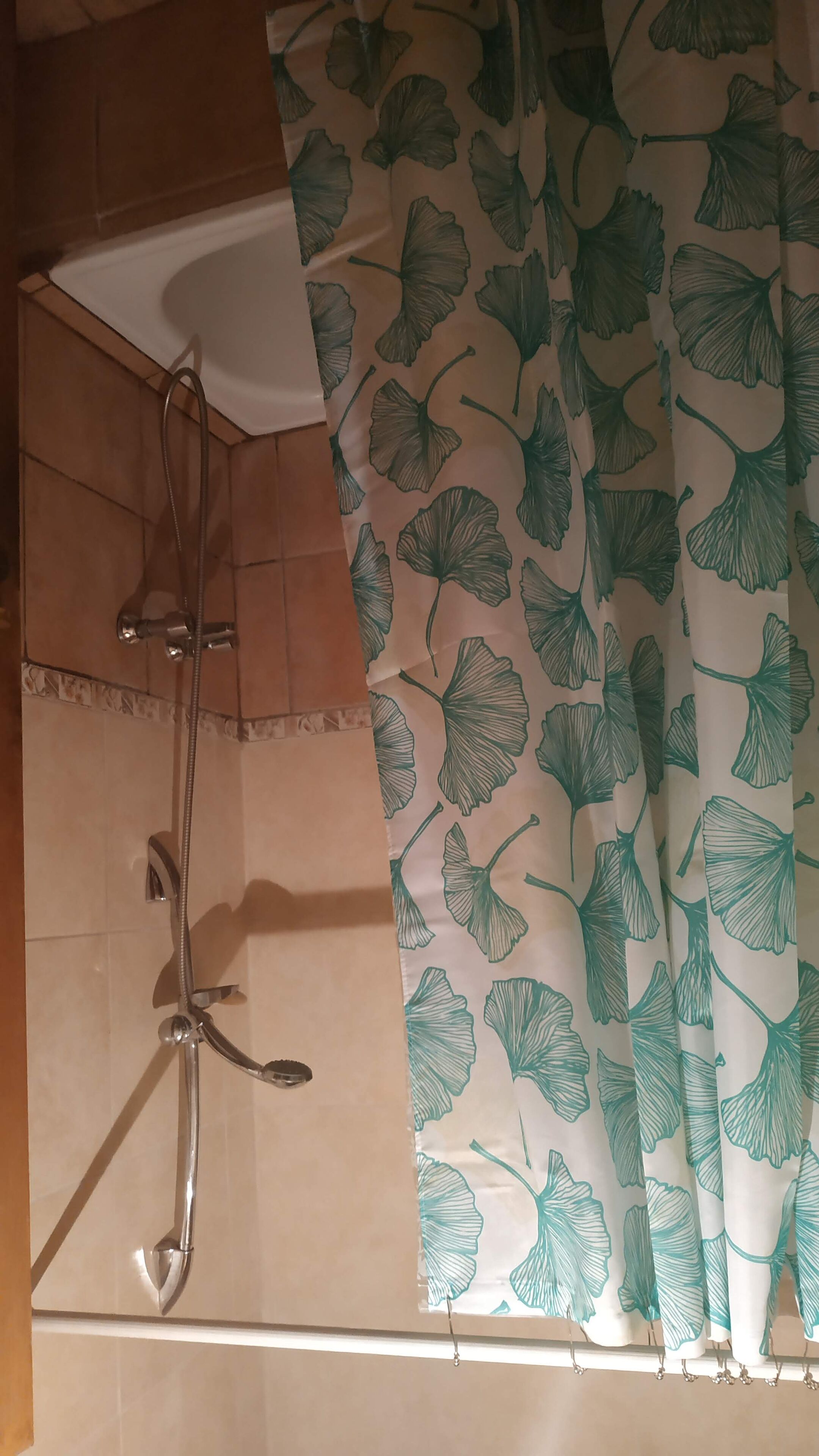 Bañera con ducha, secador de pelo, bidet, toallas