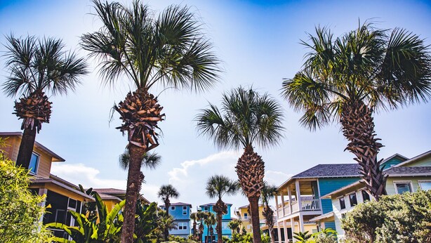 Un quartier résidentiel en bord de mer, avec des palmiers, une clôture blanche et des maisons aux couleurs vives.