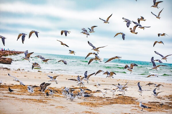 Plage à proximité