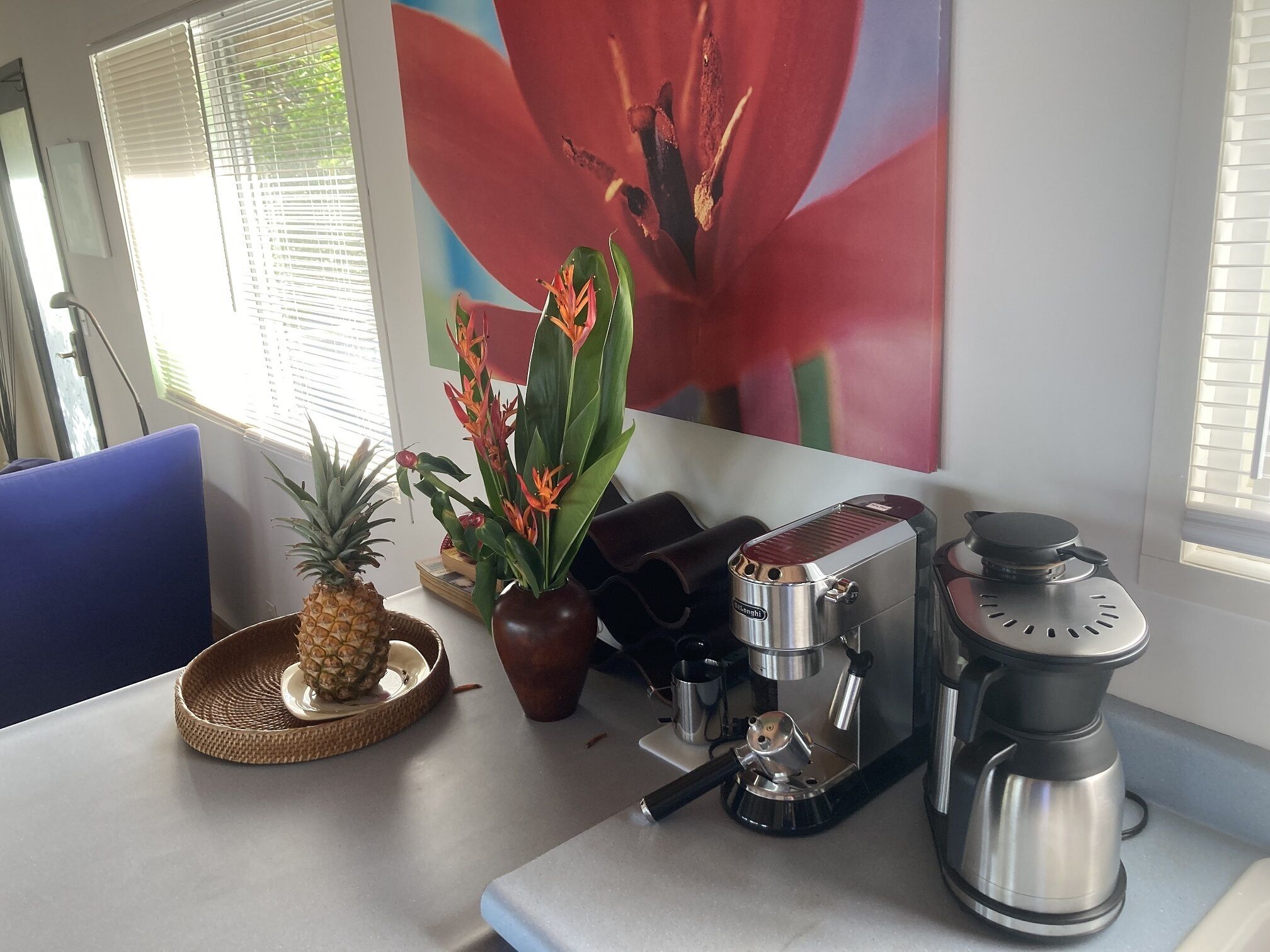 Oceanfront In Beautiful Tropical Area, by black sand beach - Oceana Hawaii