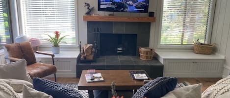 Smart TV, chimenea, videojuegos y libros