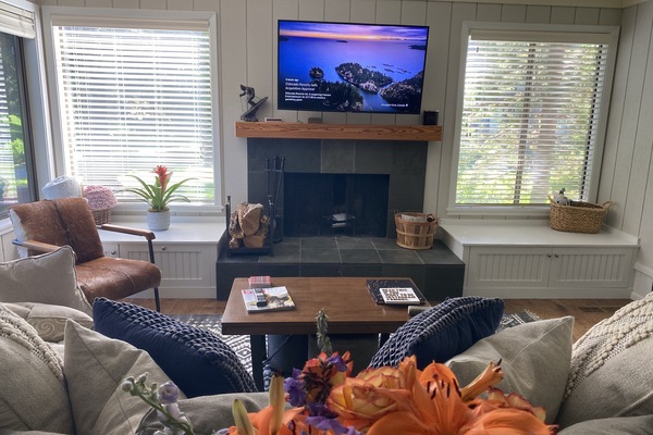 Smart TV, chimenea, videojuegos y libros