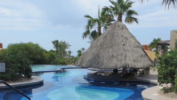 Una piscina con una estructura de techo de paja, rodeada de palmeras y un cielo despejado.