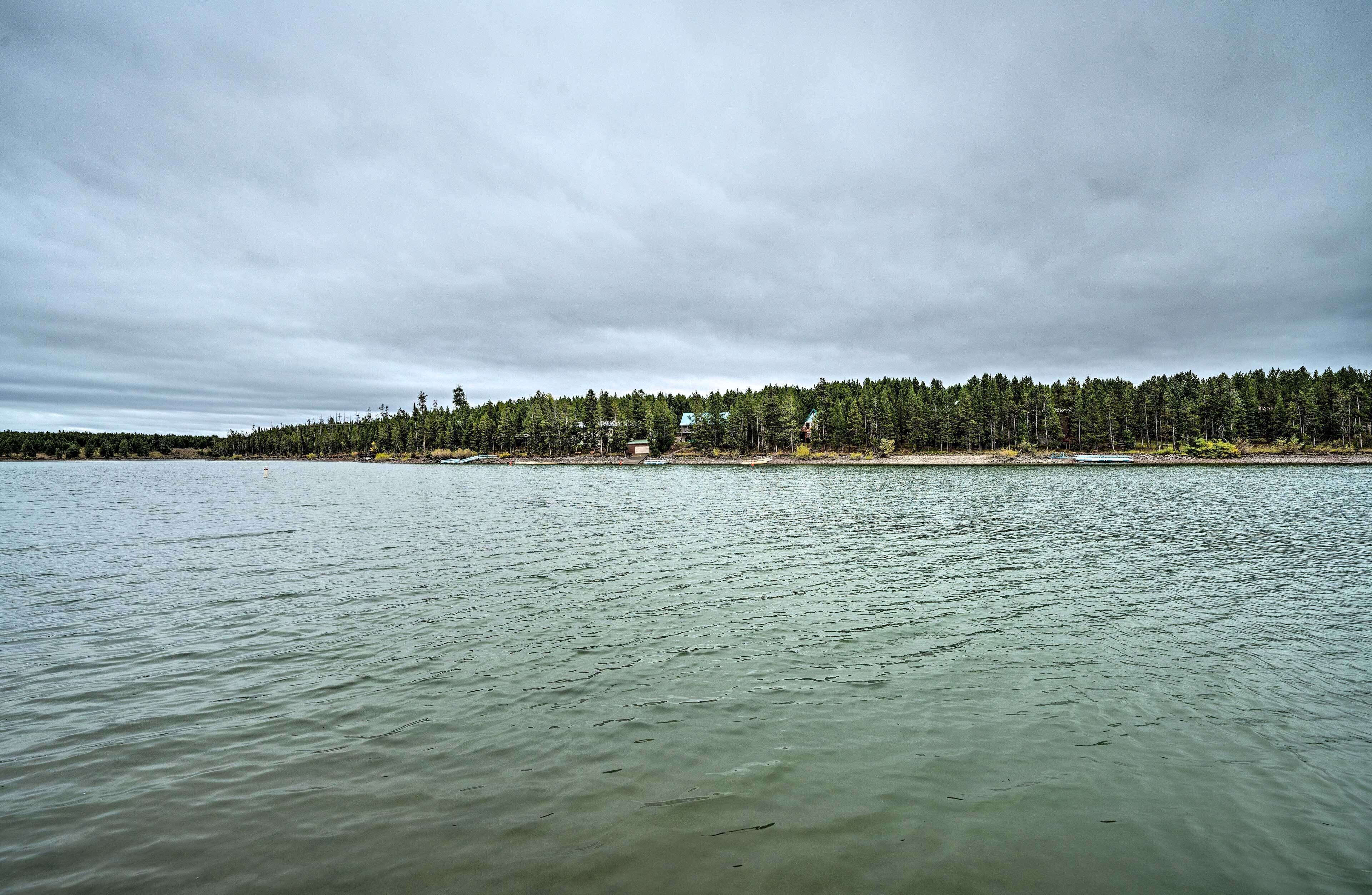 A waterfront property with a forested shoreline, a dock, and a building with a blue roof.