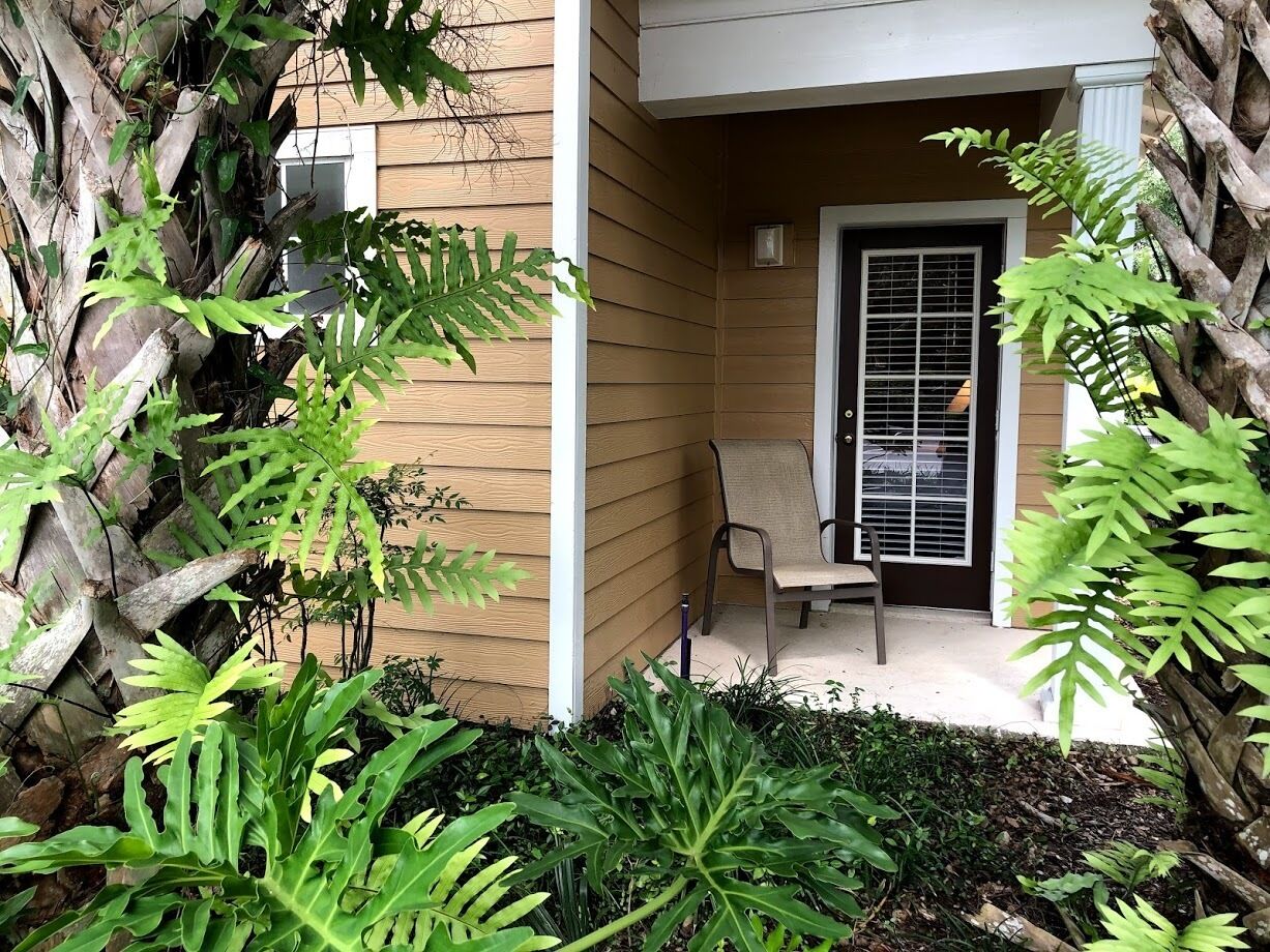 A wooden house with a covered porch, a chair, and various green plants.