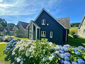Ulkopuoli