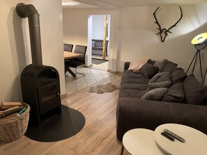 TV, fireplace, books, stereo - Small, cozy, family-friendly holiday home (Somplar)