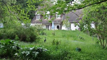 Extérieur