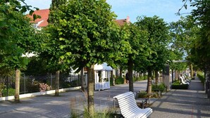 Un parc doté d’une allée pavée, de bancs et d’arbres.
