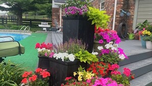 A garden with various potted plants and flowers in front of a house with a brick chimney and a pool. - Raven Fox Farm-Country Charm! 5 BR Only 8 miles from Keeneland and BG Airport (Versailles)
