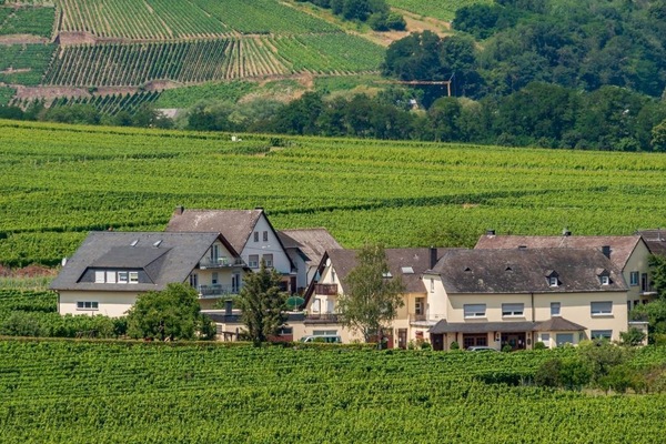 Ferienweingut Winnebeck
