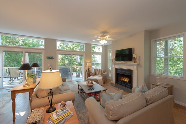 Smart TV, fireplace, DVD player, books