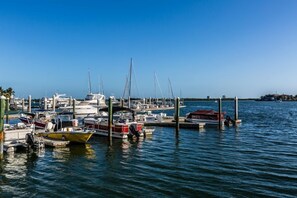 Unclassified image, 3 of 16, button