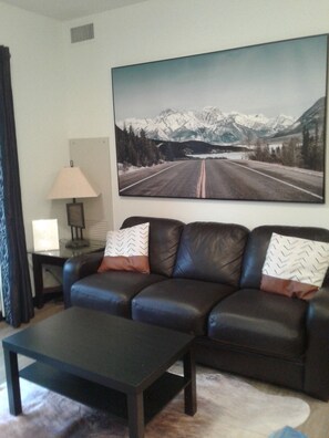 Télévision, cheminée, lecteur de DVD