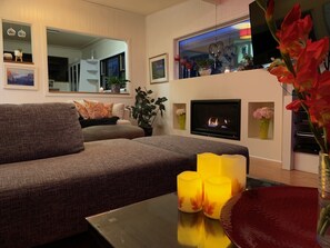 TV connectée, cheminée, lecteur de DVD, livres