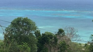 Une vue sur la côte, avec une eau turquoise cristalline et une végétation luxuriante.