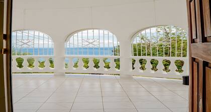 ILMAINEN LENTOASEMAN NOPEAMINEN JA Pudota!