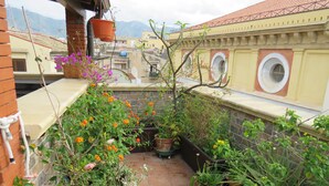 A rooftop garden with various potted plants and flowers, a brick wall, and a view of buildings in the background. - Beautiful terrace and peace of mind in the city centre (Palermo)